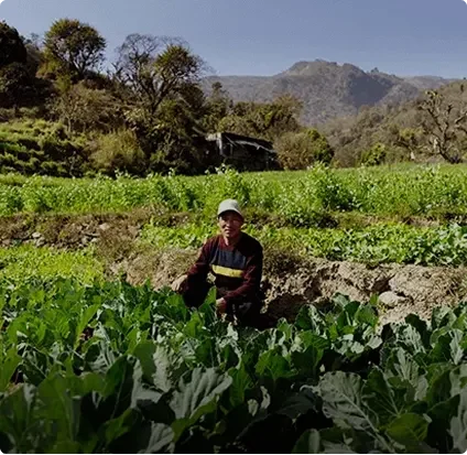 Conscious Living Teacher