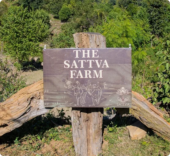 The Sattva Farm