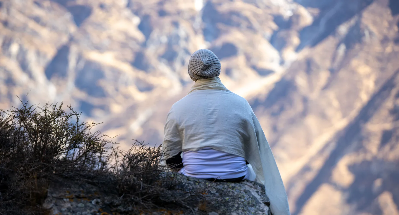Himalayan Yogi anand mehrotra