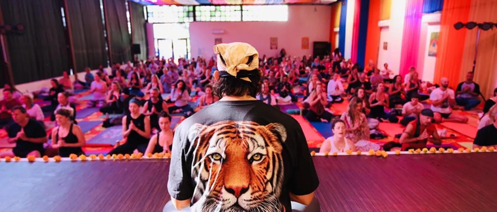 Himalayan Yogi anand mehrotra
